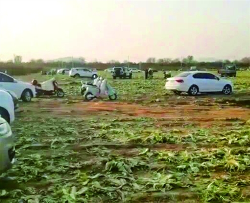 哄抢过后一片狼藉 视频截图